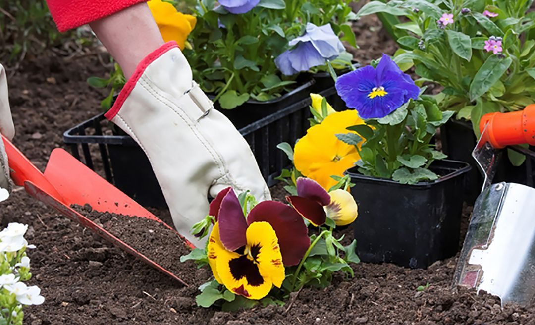 Vårstädning söndag 6 maj